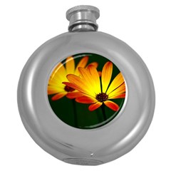 Osterspermum Hip Flask (round) by Siebenhuehner