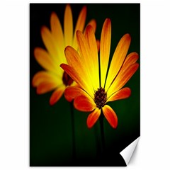 Osterspermum Canvas 20  X 30  (unframed) by Siebenhuehner