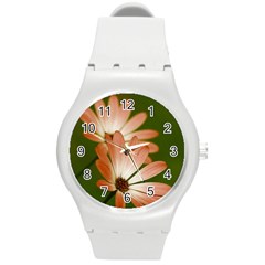 Osterspermum Plastic Sport Watch (Medium)