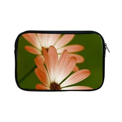 Osterspermum Apple iPad Mini Zipper Case