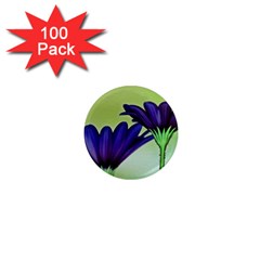 Osterspermum 1  Mini Button Magnet (100 pack)