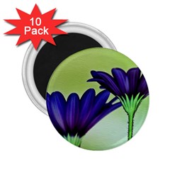 Osterspermum 2 25  Button Magnet (10 Pack) by Siebenhuehner