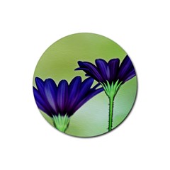 Osterspermum Drink Coaster (Round)