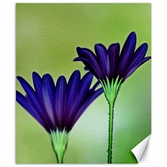 Osterspermum Canvas 8  X 10  (unframed) by Siebenhuehner