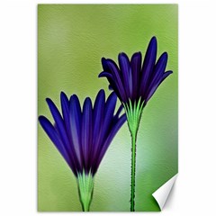 Osterspermum Canvas 20  x 30  (Unframed)