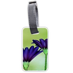 Osterspermum Luggage Tag (One Side)