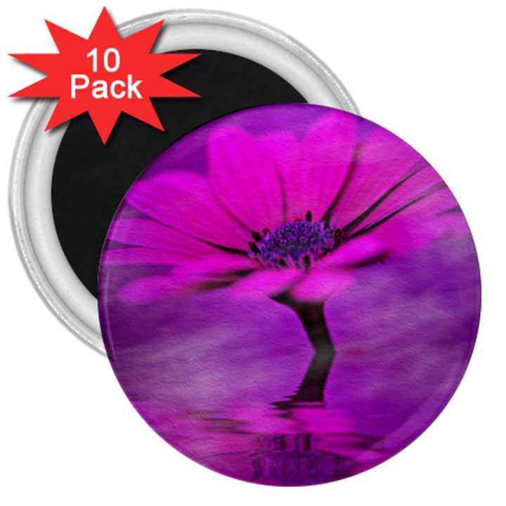 Osterspermum 3  Button Magnet (10 pack)