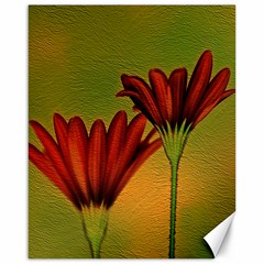 Osterspermum Canvas 16  X 20  (unframed) by Siebenhuehner