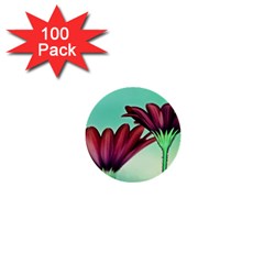 Osterspermum 1  Mini Button (100 Pack)