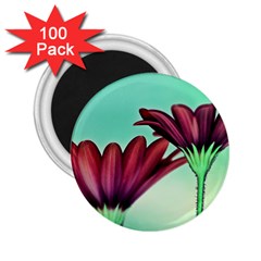 Osterspermum 2 25  Button Magnet (100 Pack)