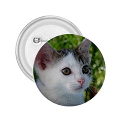 Young Cat 2 25  Button by Siebenhuehner