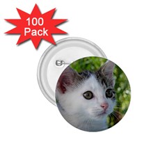 Young Cat 1 75  Button (100 Pack) by Siebenhuehner