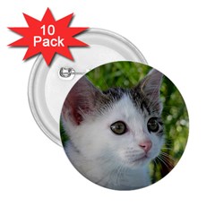 Young Cat 2 25  Button (10 Pack) by Siebenhuehner