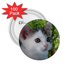 Young Cat 2 25  Button (100 Pack) by Siebenhuehner