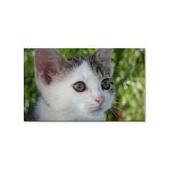 Young Cat Sticker 100 Pack (rectangle)