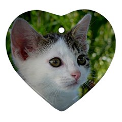 Young Cat Heart Ornament (two Sides)