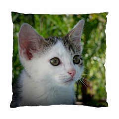 Young Cat Cushion Case (single Sided)  by Siebenhuehner