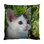 Young Cat Cushion Case (Single Sided) 