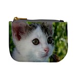 Young Cat Coin Change Purse Front