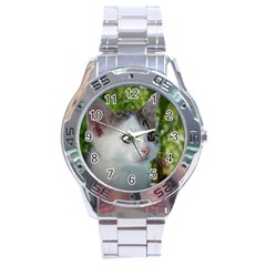 Young Cat Stainless Steel Watch (men s) by Siebenhuehner