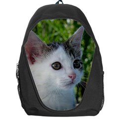 Young Cat Backpack Bag