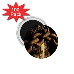 Chain 1 75  Button Magnet (100 Pack) by Siebenhuehner