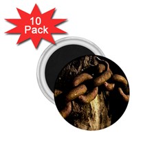 Chain 1 75  Button Magnet (10 Pack) by Siebenhuehner