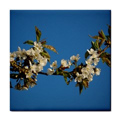 Cherry Blossom Ceramic Tile by Siebenhuehner