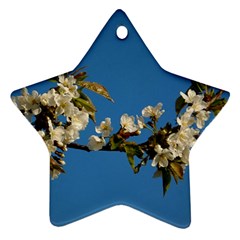 Cherry Blossom Star Ornament by Siebenhuehner