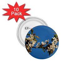 Cherry Blossom 1 75  Button (10 Pack) by Siebenhuehner