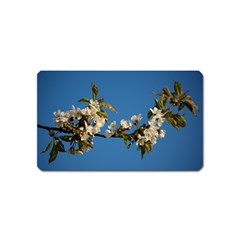 Cherry Blossom Magnet (name Card) by Siebenhuehner