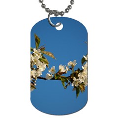 Cherry Blossom Dog Tag (one Sided) by Siebenhuehner