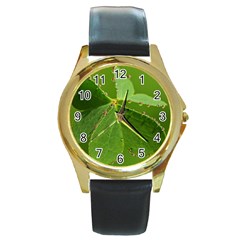 Drops Round Metal Watch (gold Rim) 