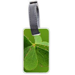 Drops Luggage Tag (two Sides) by Siebenhuehner