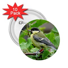 Songbird 2 25  Button (10 Pack) by Siebenhuehner