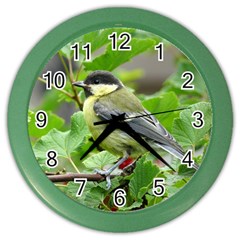 Songbird Wall Clock (color)