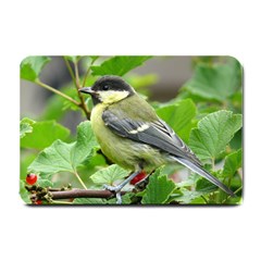 Songbird Small Door Mat