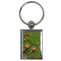 Ladybird Key Chain (rectangle)