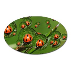 Ladybird Magnet (oval) by Siebenhuehner