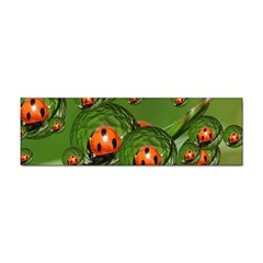 Ladybird Bumper Sticker 10 Pack by Siebenhuehner