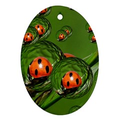 Ladybird Oval Ornament (two Sides) by Siebenhuehner
