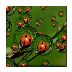 Ladybird Face Towel by Siebenhuehner