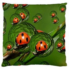 Ladybird Large Cushion Case (single Sided)  by Siebenhuehner