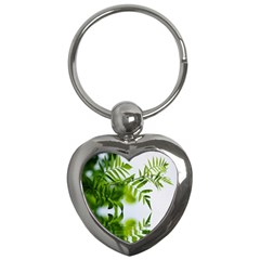 Leafs With Waterreflection Key Chain (heart) by Siebenhuehner