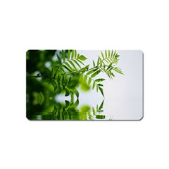 Leafs With Waterreflection Magnet (name Card) by Siebenhuehner