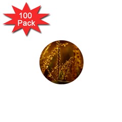 Field 1  Mini Button (100 Pack) by Siebenhuehner