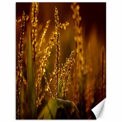 Field Canvas 12  X 16  (unframed) by Siebenhuehner