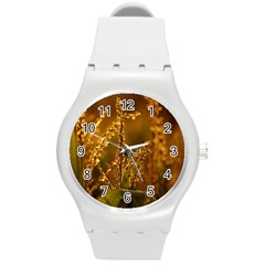 Field Plastic Sport Watch (medium) by Siebenhuehner