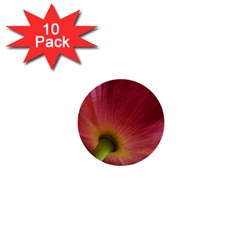 Poppy 1  Mini Button (10 Pack)