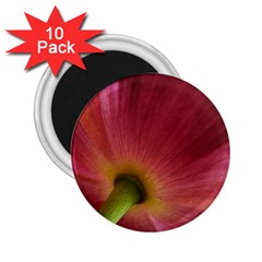 Poppy 2 25  Button Magnet (10 Pack) by Siebenhuehner